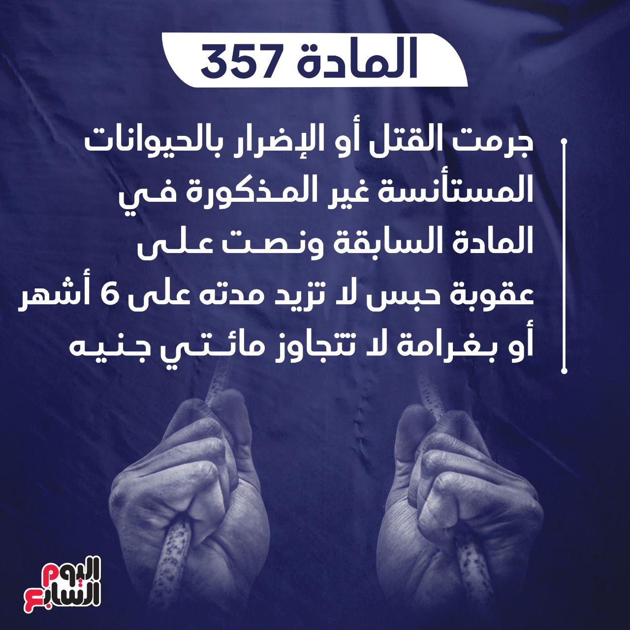  السجن 7 سنوات عقوبة واقعة السحل فى الإسكندرية (4)
