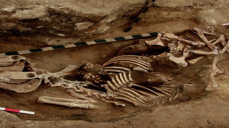 الرفات التى تم العثور عليها الرفات التى تم العثور عليها