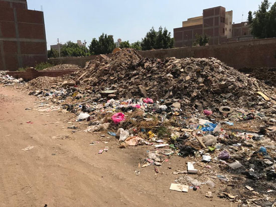  القمامة تحاصر الشوارع (4)