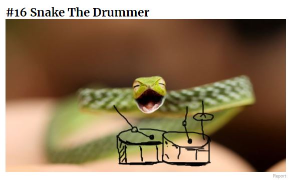 Snake The Drummer