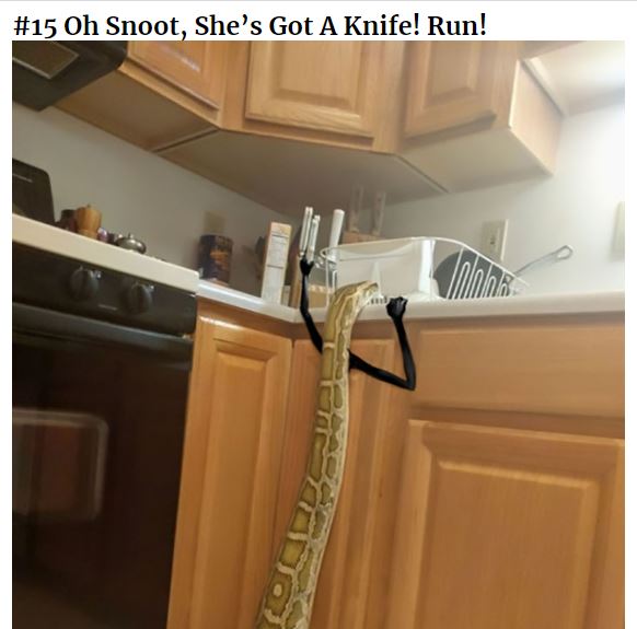 Oh Snoot, She’s Got A Knife! Run!