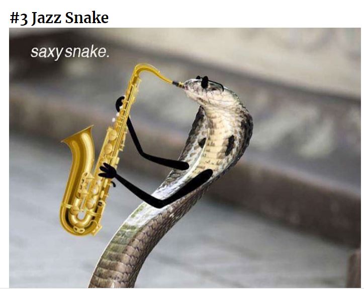 Jazz Snake