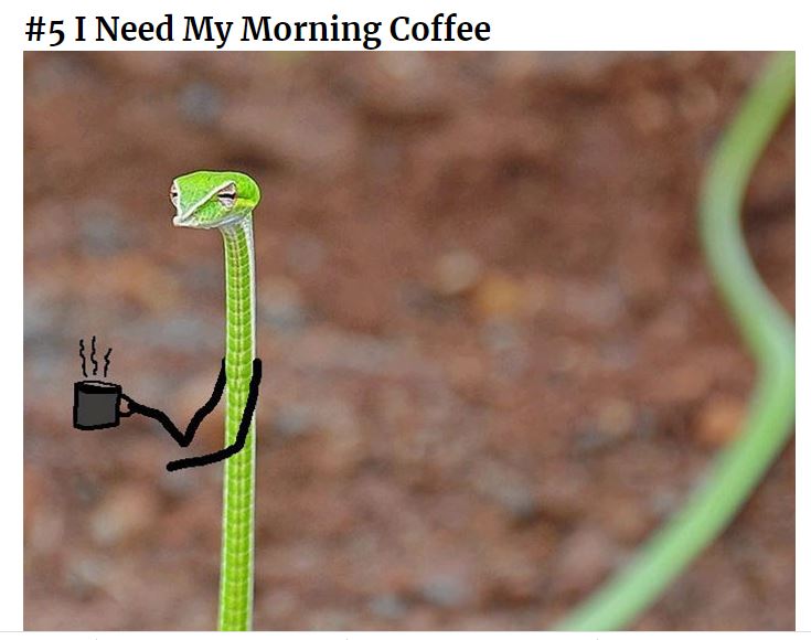 I Need My Morning Coffee