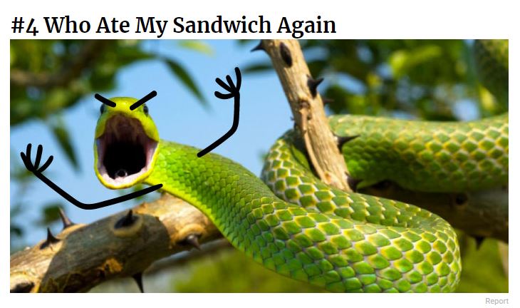 Who Ate My Sandwich Again