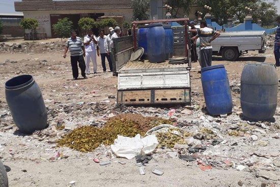 إعدام 700 كيلو مخللات منتهية الصلاحية قبل بيعها للجمهور بمدينة طهطا (3)
