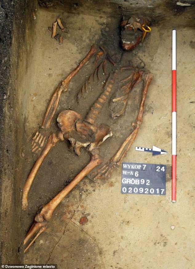 هياكل عظمية هياكل عظمية