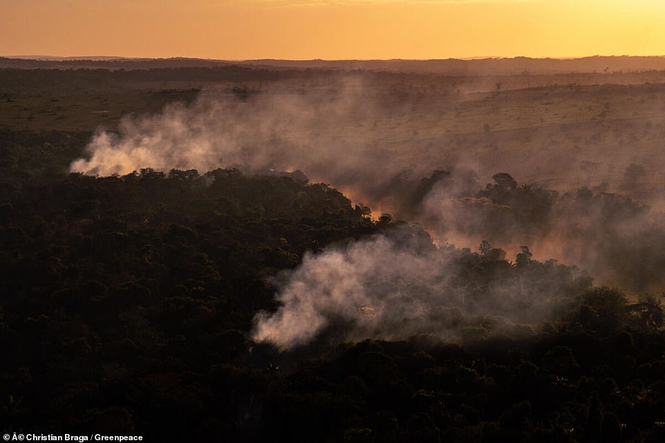 حرائق غابات الأمازون بالبرازيل