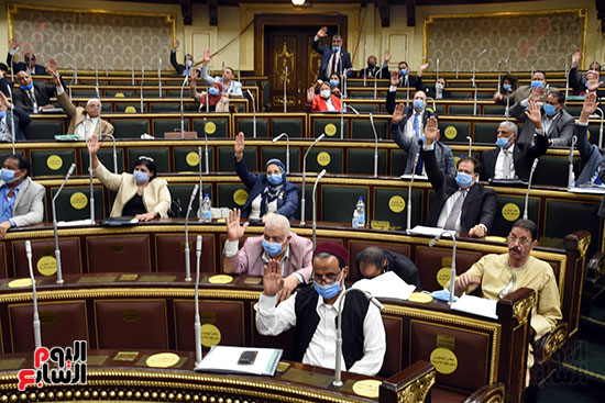 الجلسة العامة بمجلس النواب (3)