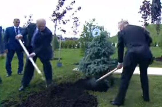 بوتين ورئيس بيلا روسيا يغرسان الشجرة