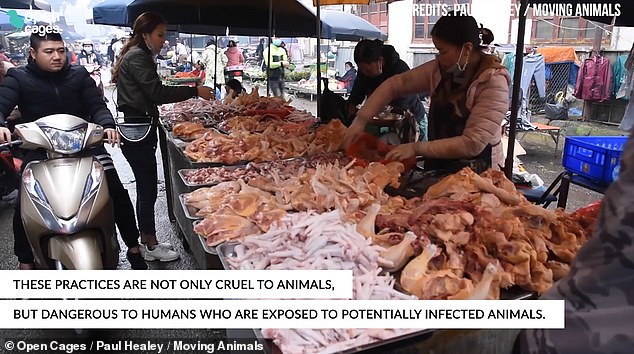 بدون كمامات سوق فيتانام يبيع جميع اللحوم حتى لحوم الكلاب