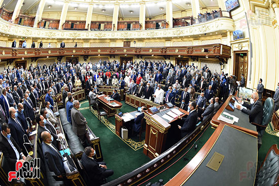 الجلسة العامة بمجلس النواب (5)
