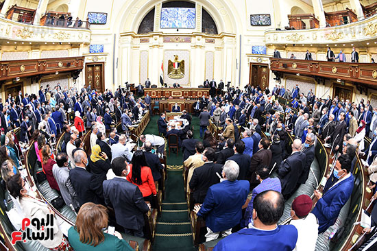 الجلسة العامة بمجلس النواب (16)