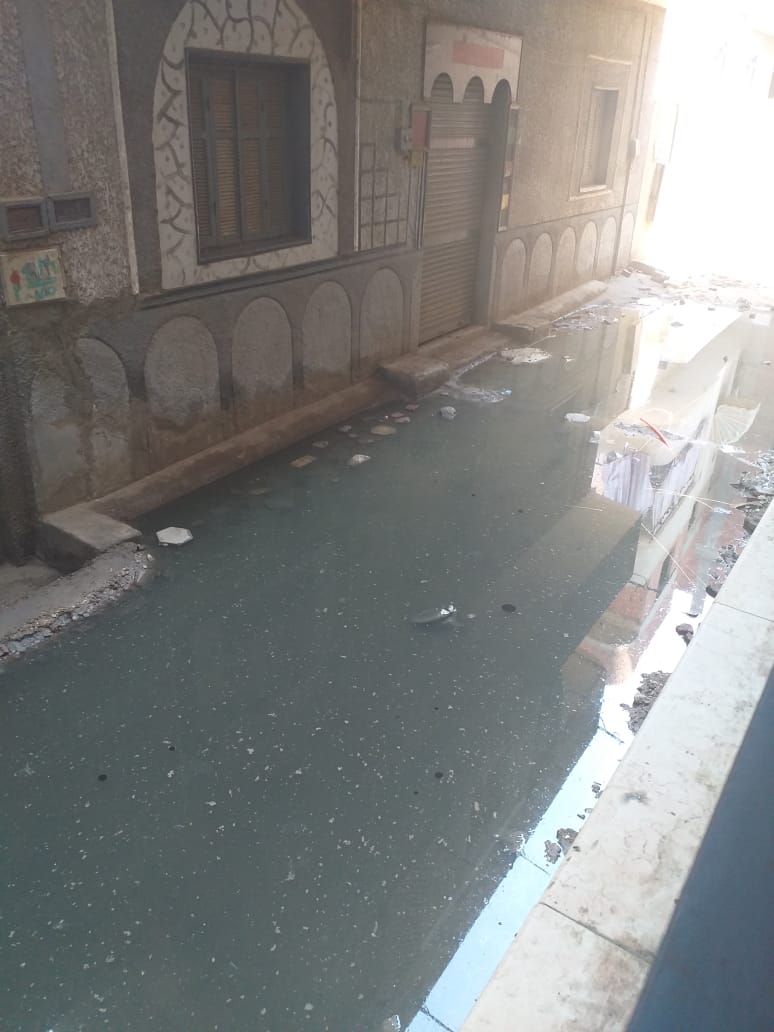 غرق منازل وشوارع قرية طناش فى الصرف الصحى (1)
