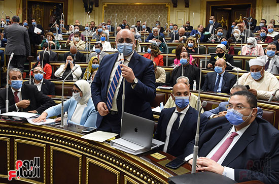 الجلسة العامة بمجلس النواب (14)