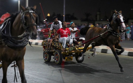 سباق للخيول بشوارع القاهرة