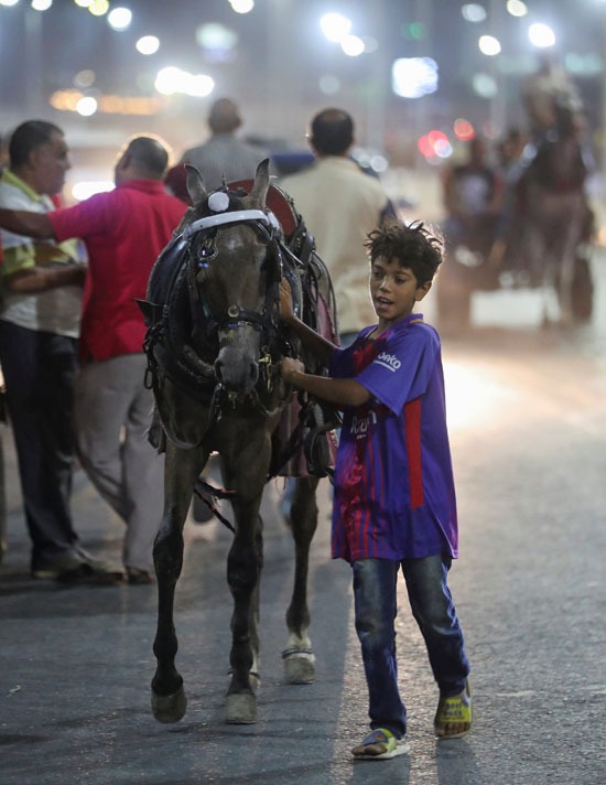 سباق خيول بالقاهرة 