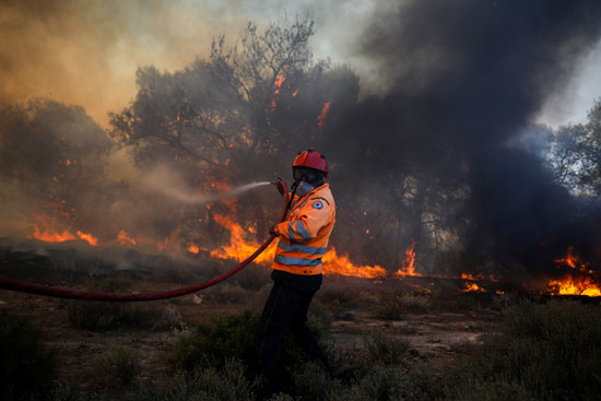 رجال الإطفاء يكافحون حرائق الغابات