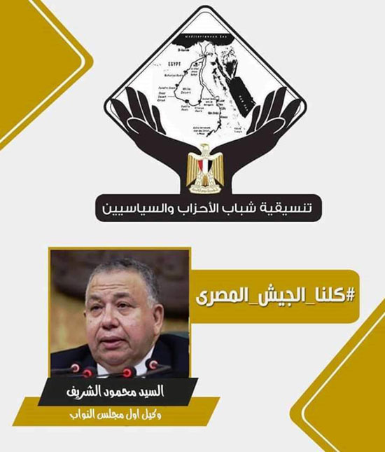 تنسيقية شباب الأحزاب تطلق حملة بعنوان كلنا الجيش المصرى (4)