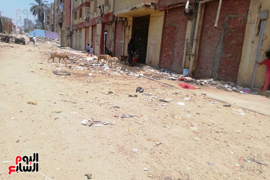 مساكن السودان بالدقى تغرق فى القمامة والصرف الصحى (13)