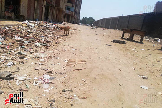 مساكن السودان بالدقى تغرق فى القمامة والصرف الصحى (9)