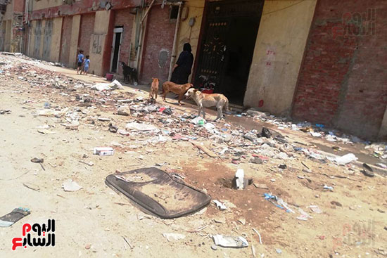 مساكن السودان بالدقى تغرق فى القمامة والصرف الصحى (7)