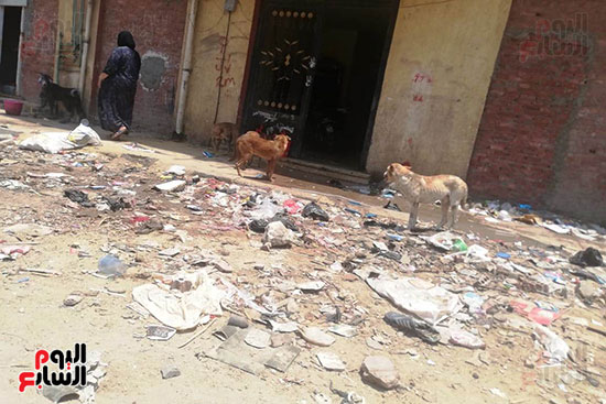مساكن السودان بالدقى تغرق فى القمامة والصرف الصحى (5)