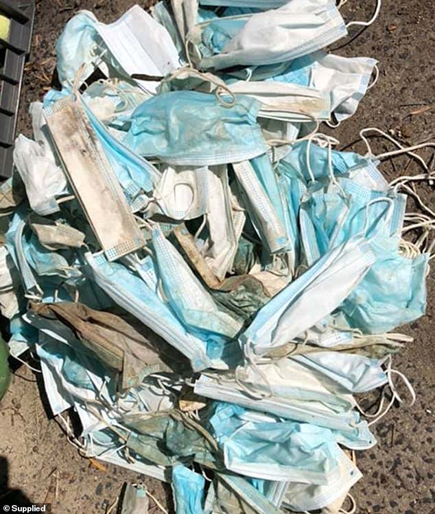 الكمامات تتناثر على شاطئ أسترالي بسبب سقوط حاوية.. صور  (4)