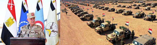 3الفريق محمد فريد رئيس أركان حرب القوات المسلحة  (1)