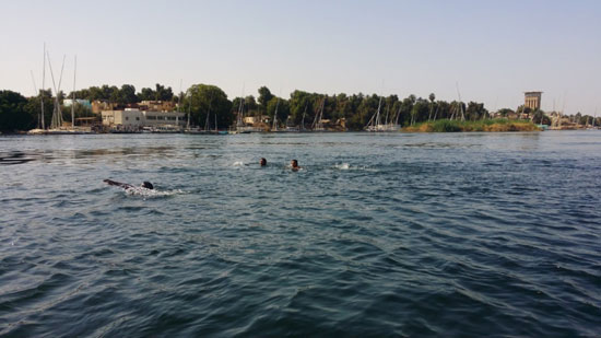 السباحة-فى-النيل-والترع-خلال-فصل-الصيف-بأسوان-(4)