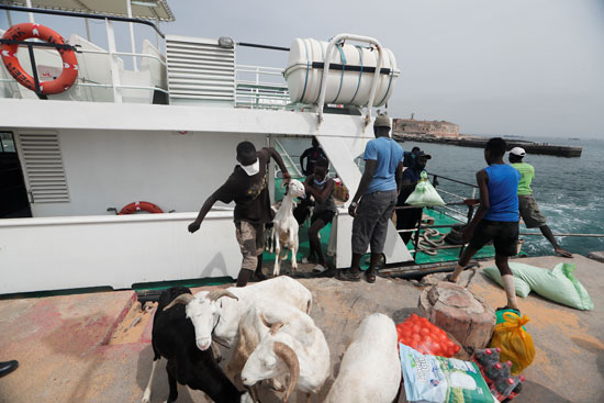 أهالي السنغال يخرجون الأضحية امن العبارة بعدد شرائها من جزيرة غوري