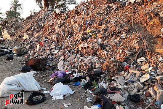 القمامة تحاصر مجمع مدارس الحما (15)