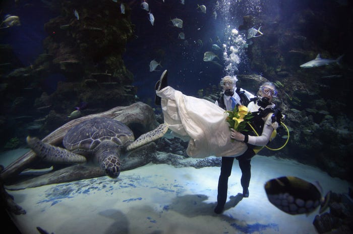 حفل زفاف تحت الماء