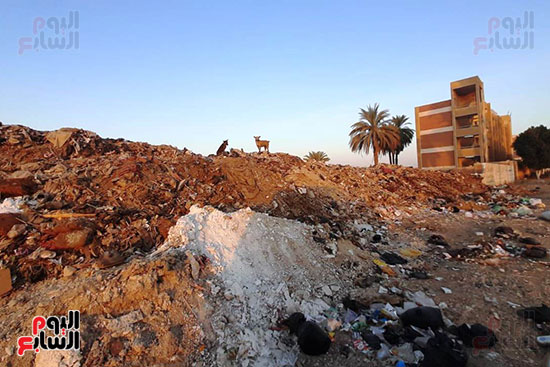 القمامة تحاصر مجمع مدارس الحما (12)