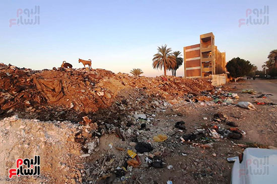 القمامة تحاصر مجمع مدارس الحما (11)