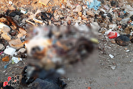 القمامة تحاصر مجمع مدارس الحما (17)