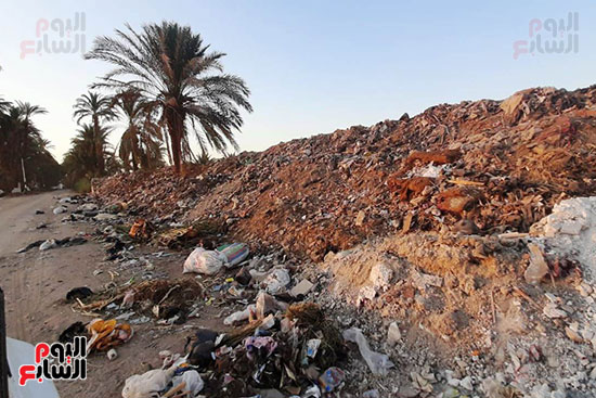 القمامة تحاصر مجمع مدارس الحما (10)
