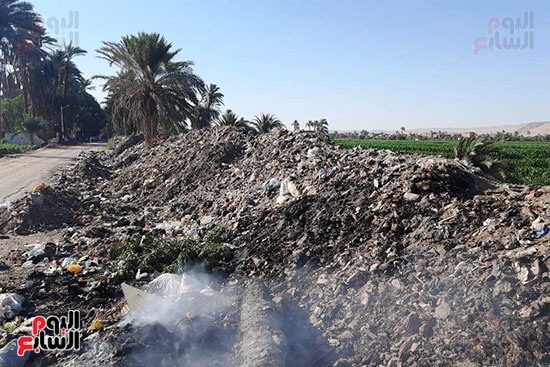 القمامة تحاصر مجمع مدارس الحما (6)