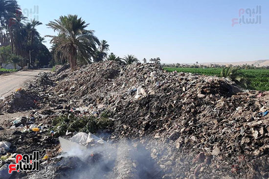 القمامة تحاصر مجمع مدارس الحما (7)