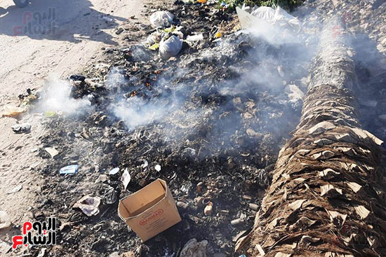 القمامة تحاصر مجمع مدارس الحما (5)