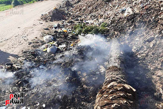 القمامة تحاصر مجمع مدارس الحما (8)