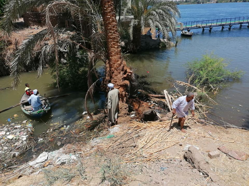 حملة لهندسة صرف الأقصر لإزالة 2 نخلة وشجرة من مصب الحبيل على النيل (1)