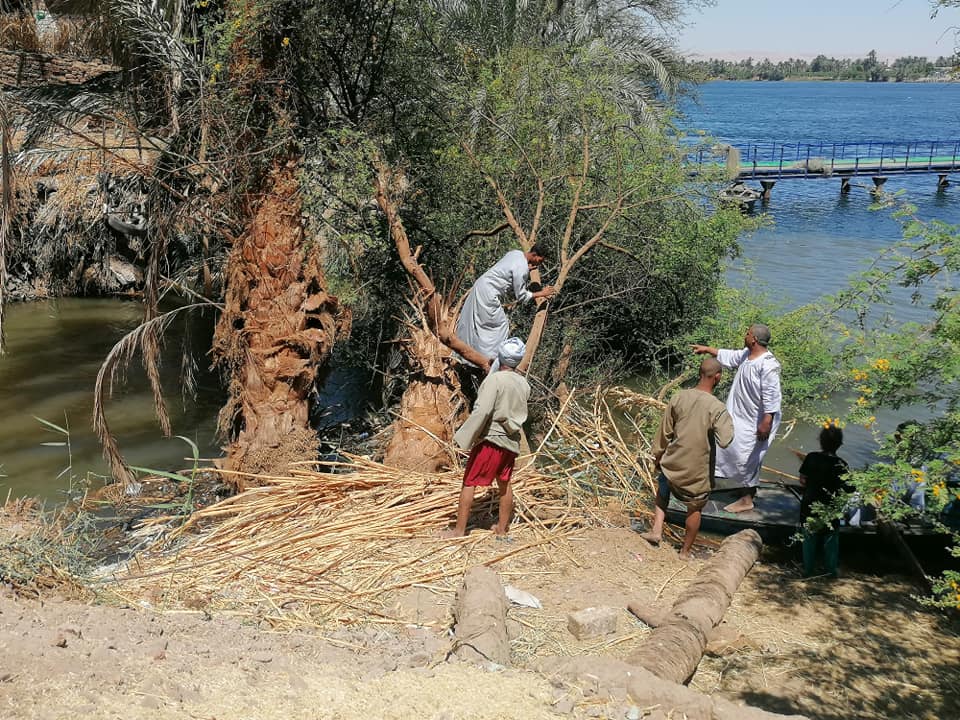 حملة لهندسة صرف الأقصر لإزالة 2 نخلة وشجرة من مصب الحبيل على النيل (3)