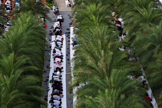 مخاوف كورونا تطغى المشهد فى عيد الأضحى مخاوف كورونا تطغى المشهد فى عيد الأضحى