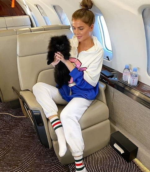 فتاة تحمل كلبها فى طائرة خاصة