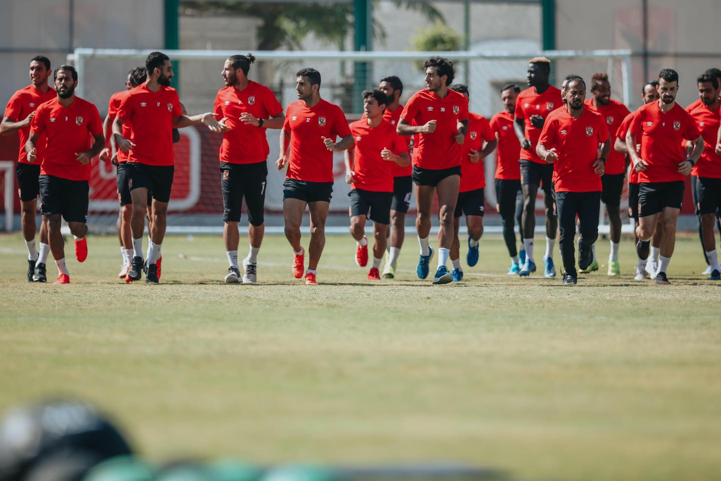 الاهلي الاهلي