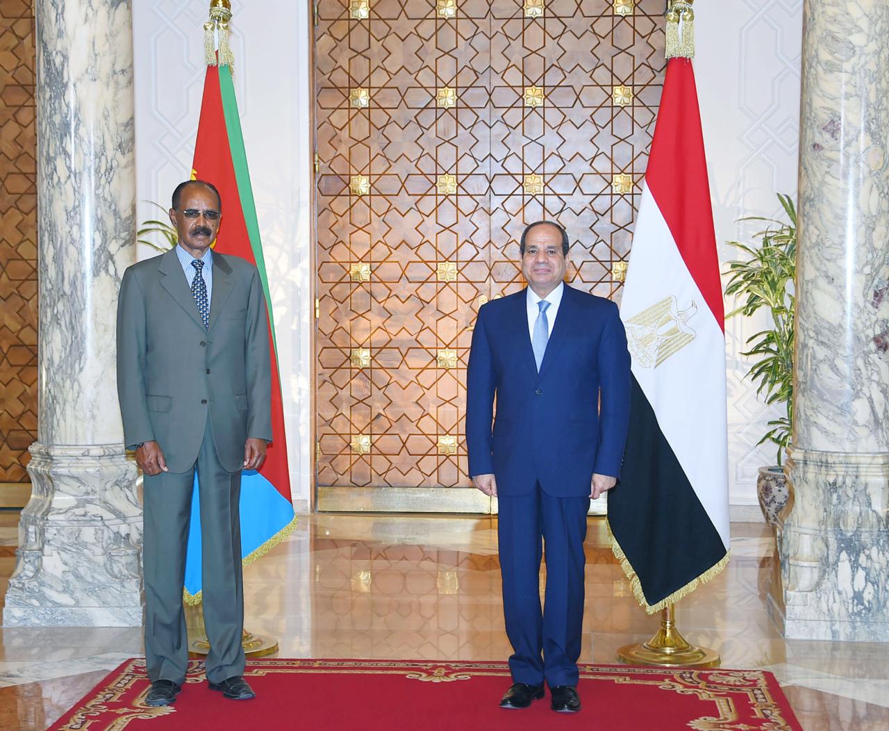 Sisi and his Eritrean counterpart (4)