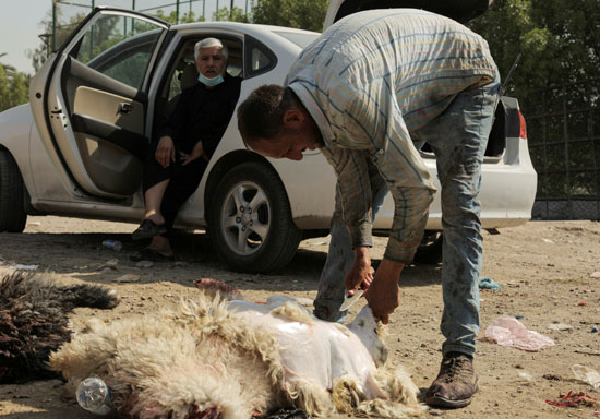 جزار يذبح خروفًا في سوق للماشية خلال احتفالات عيد الأضحى المبارك وسط انتشار مرض التاجي (COVID-19) في بغداد ، العراق