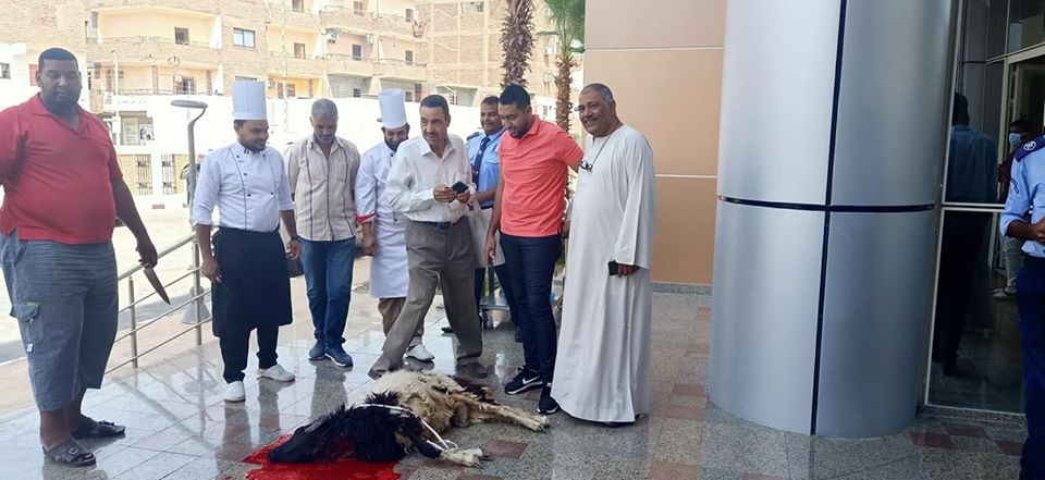 مستشفى العديسات للعزل الصحى تشهد ذبح خروف العيد  (1)