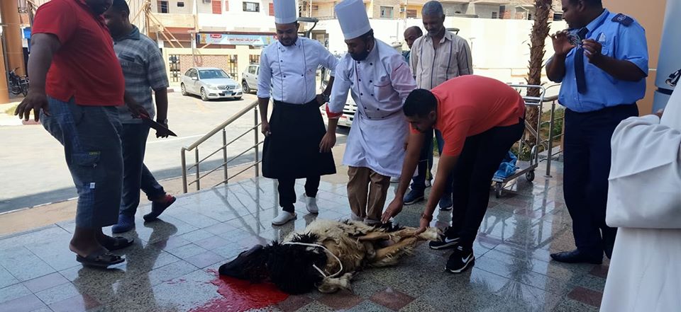 مستشفى العديسات للعزل الصحى تشهد ذبح خروف العيد  (3)