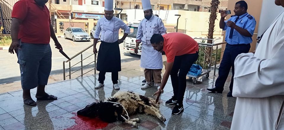 مستشفى العديسات للعزل الصحى تشهد ذبح خروف العيد  (2)